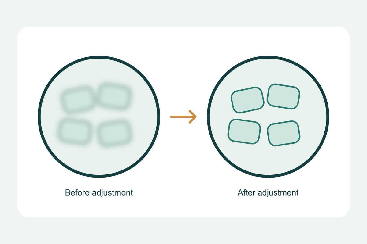 Schematic comparison of the same cell outlines before and after focus adjustment, with blurred outlines on the left and clear outlines on the right