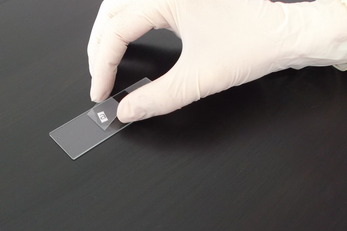 A gloved hand lowering a square coverslip over a paper letter on a glass microscope slide
